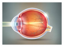 Myopia management